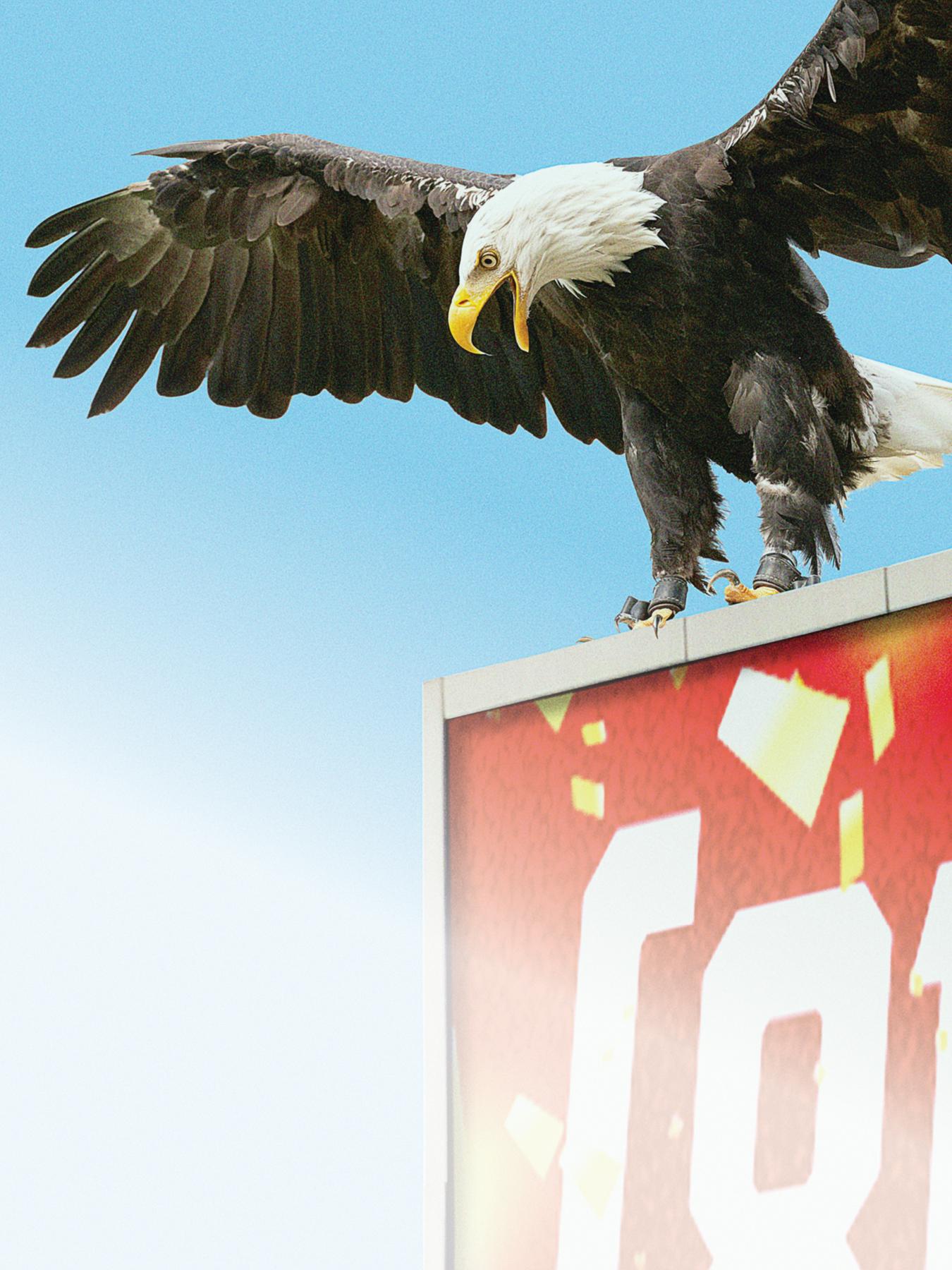Eagle atop a billboard
