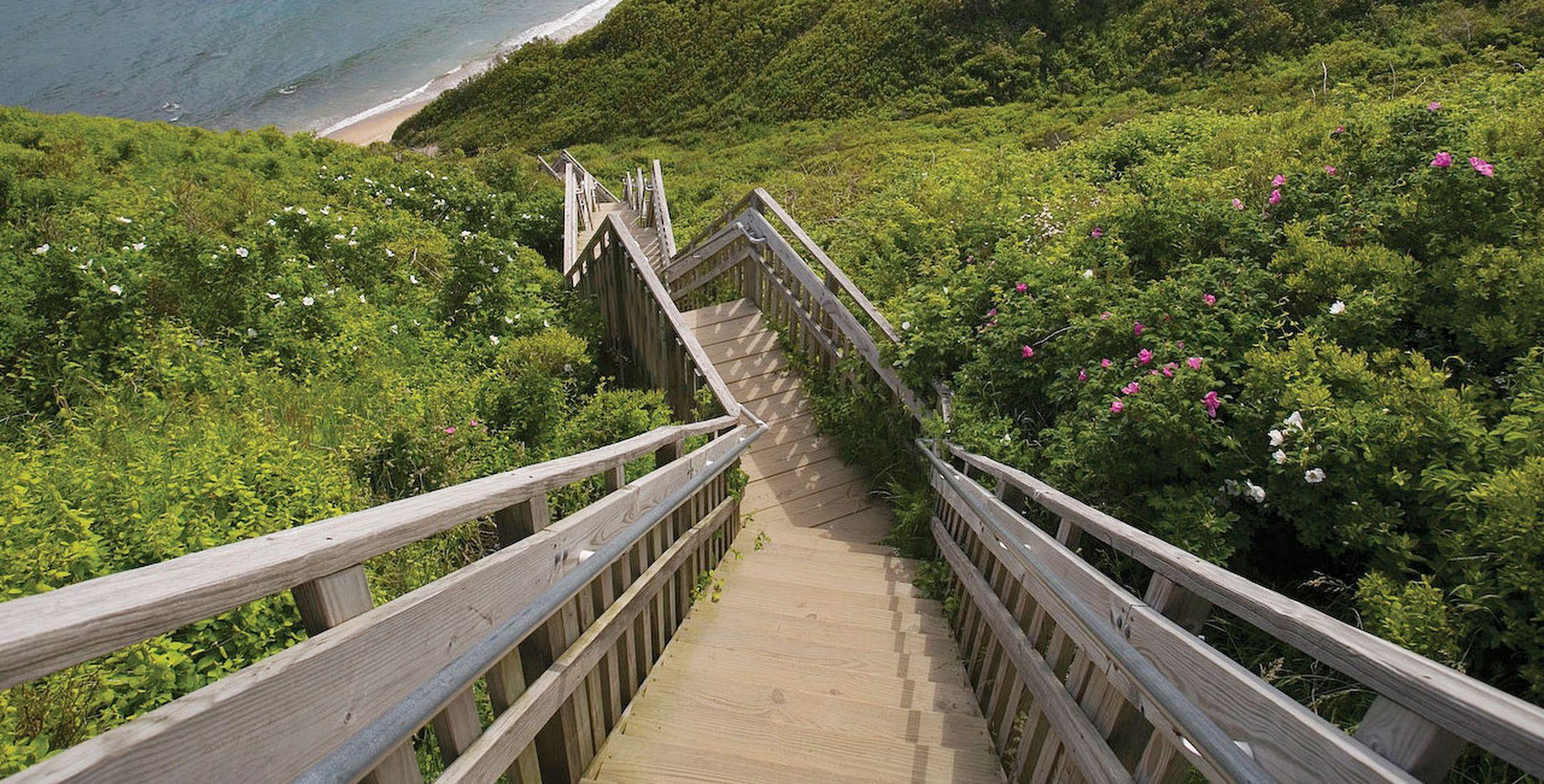 View from several hundred feet up looking down a boardwalk staircase running through greenery to the surfside below.